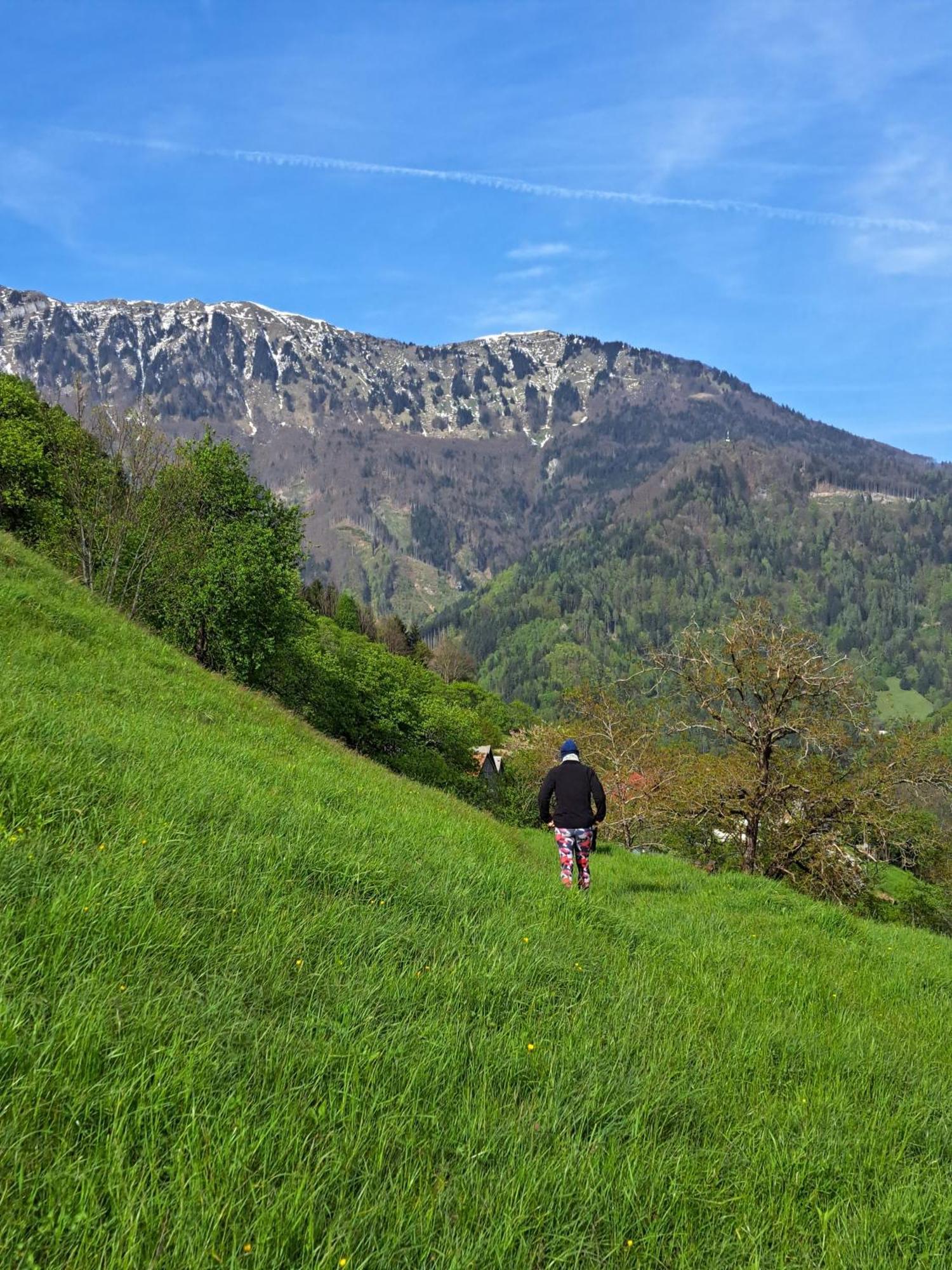 Hikers Hut Hisar Podbrdo